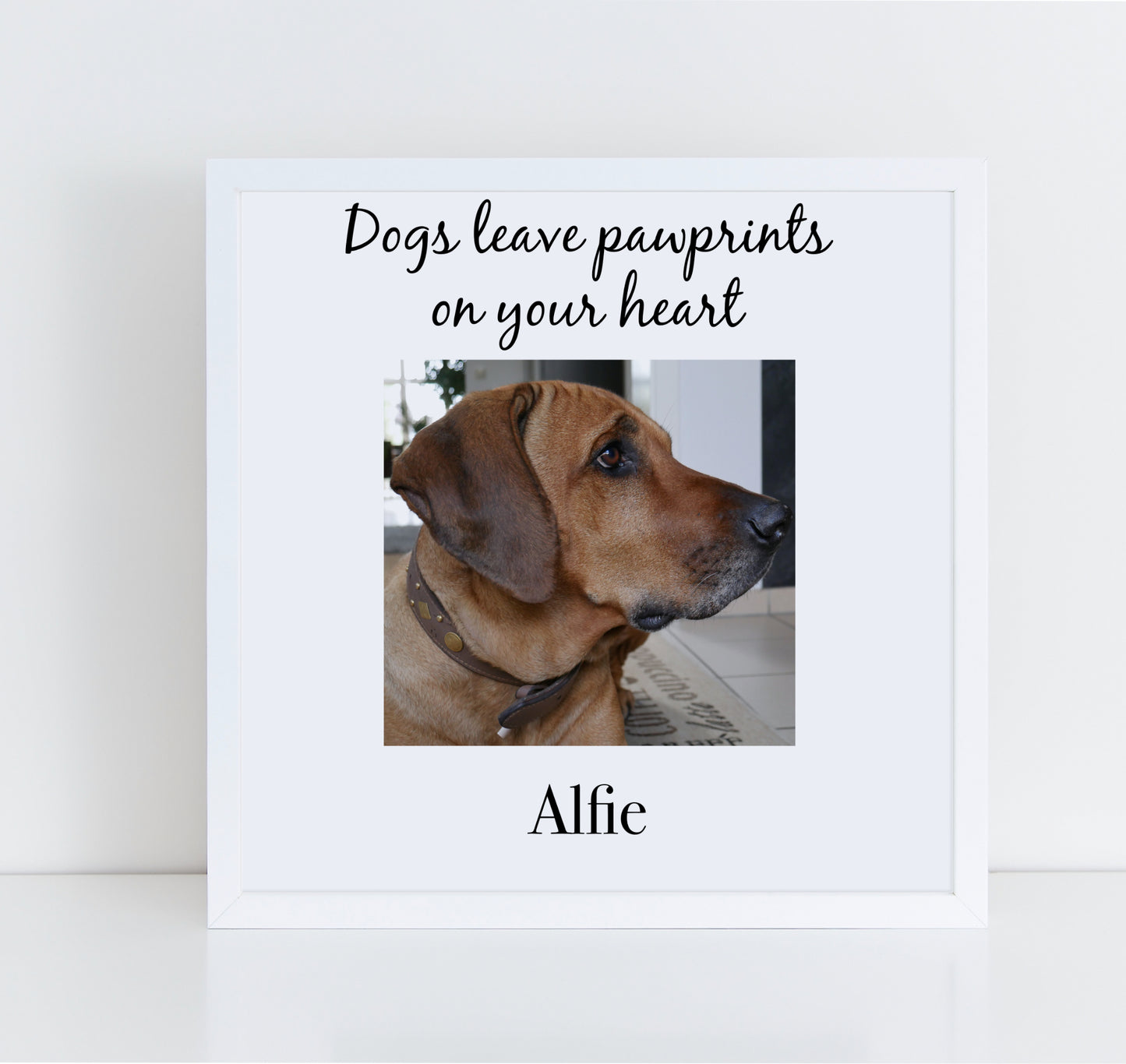 Dogs Leave Pawprints On Your Heart Personalised pet memorial photo frame