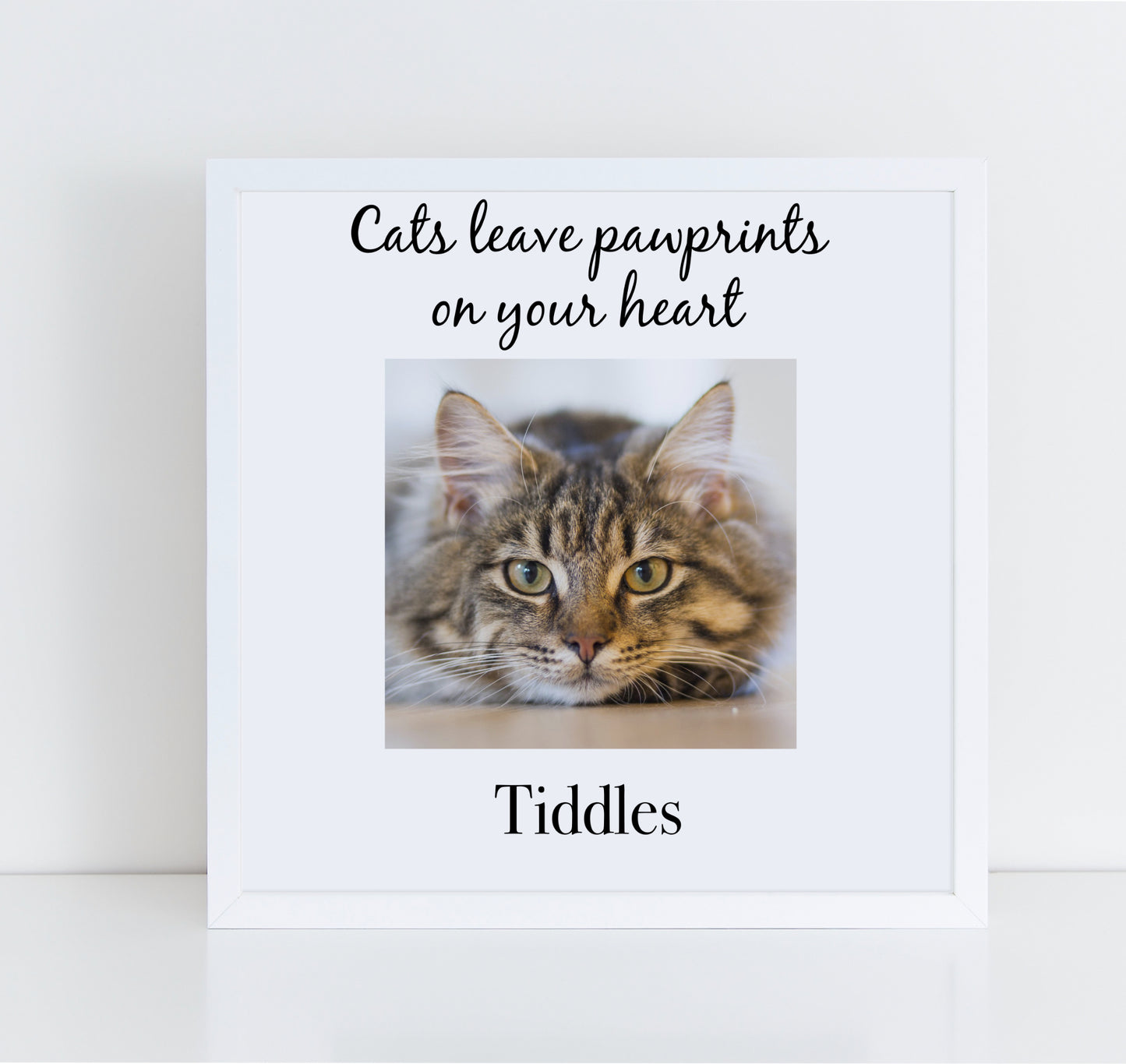 Cats Leave Pawprints On Your Heart photo frame