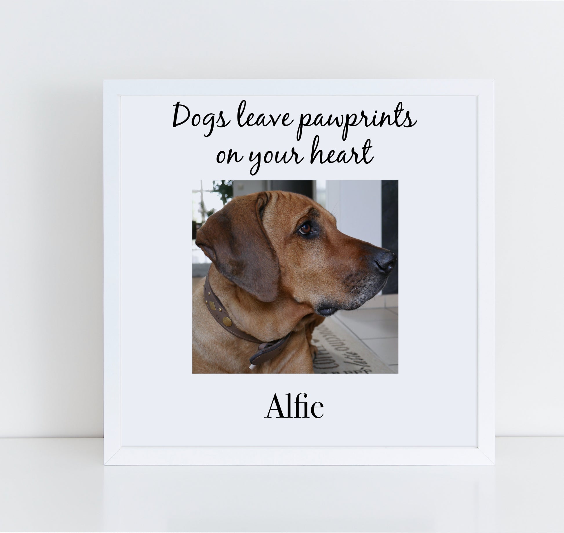 Dogs Leave Pawprints On Your Heart Personalised pet memorial photo frame