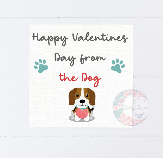 Happy Valentines Day From The Dog Card, Funny Valentines Card, Valentines Card, Gnome Couple Card,  Anniversary Card For Him, Anniversary Cards, Love Card, Cards For Him, Anniversary Card For Boyfriend, Card For Girlfriend,