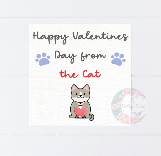 Happy Valentines Day From The Cat Card, Funny Valentines Card, Valentines Card, Gnome Couple Card,  Anniversary Card For Him, Anniversary Cards, Love Card, Cards For Him, Anniversary Card For Boyfriend, Card For Girlfriend,